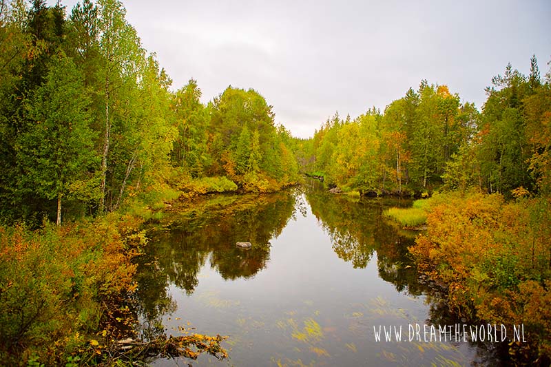 Puur genieten van Fins Lapland in de nazomer