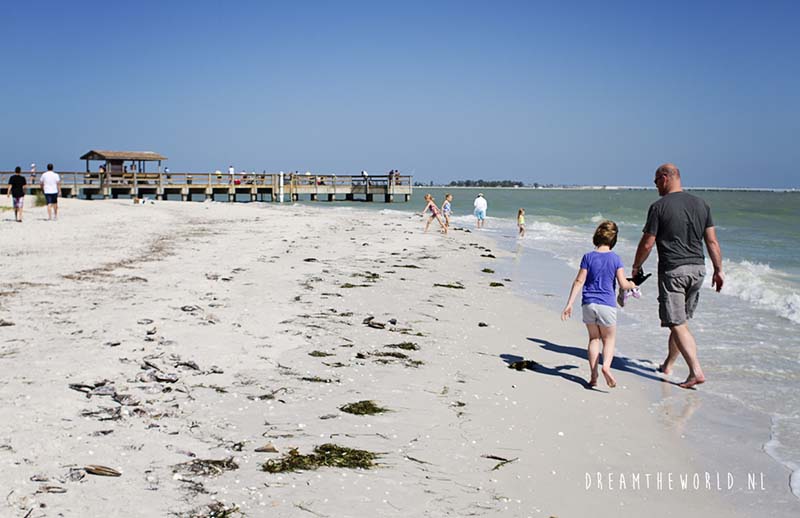 Sanibel Island schelpen Florida