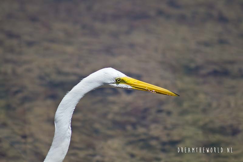 Sanibel Island Florida