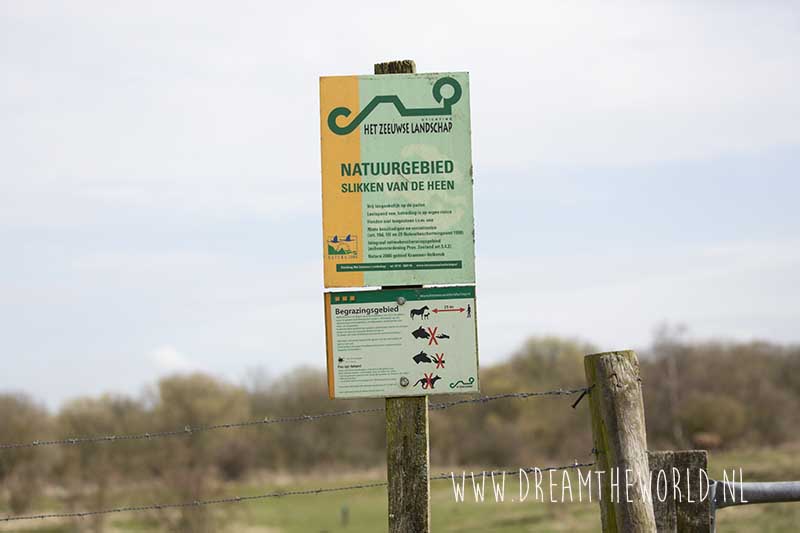 Wandelroutes Slikken van de Heen | Wandelen in Zeeland