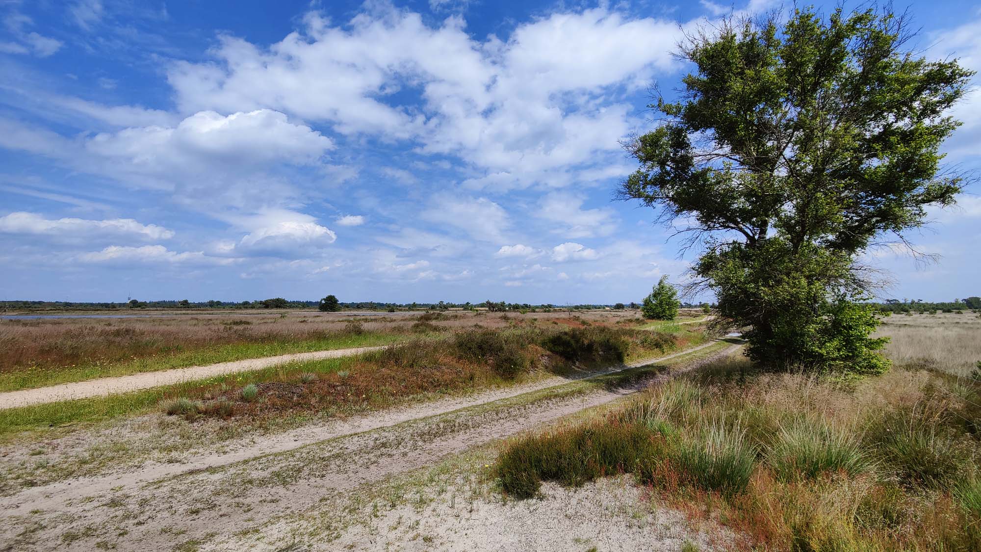 Strabrechtse Heide