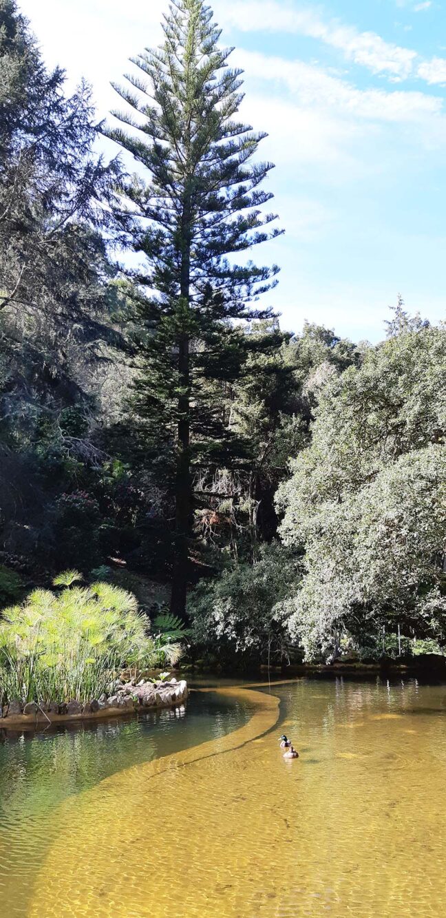 Paleis en tuin de Monserrate Sintra