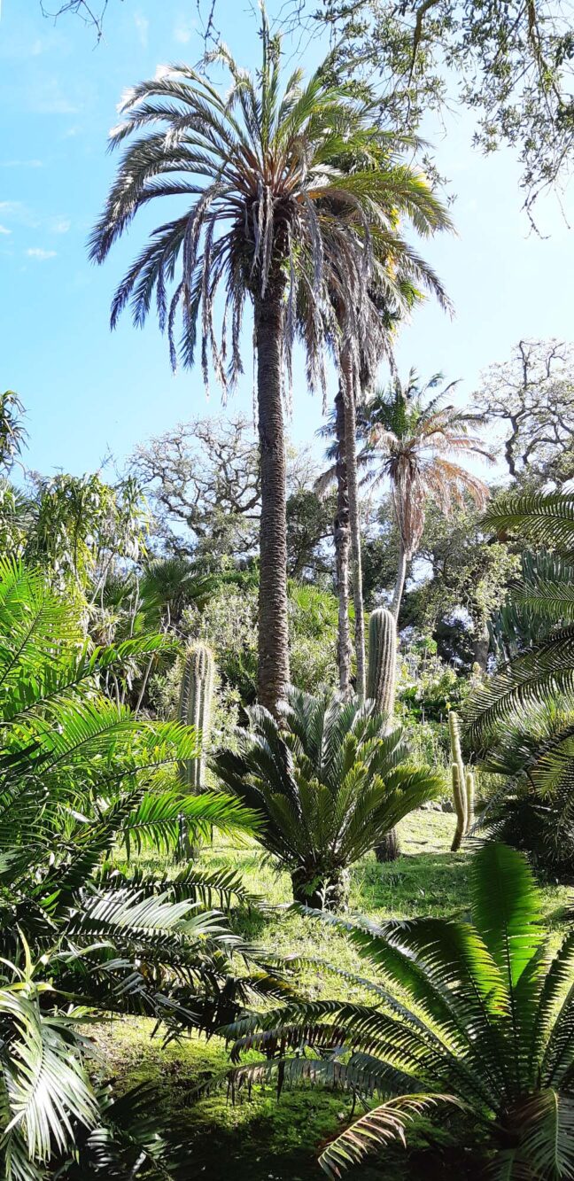 Paleis en tuin de Monserrate Sintra