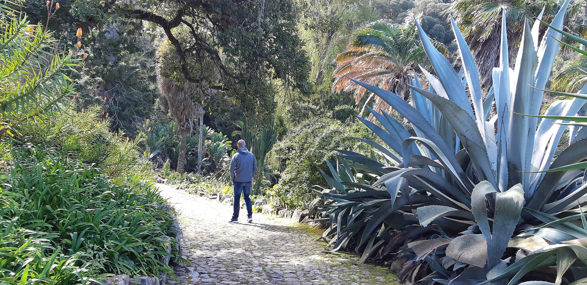 Paleis en tuin de Monserrate Sintra