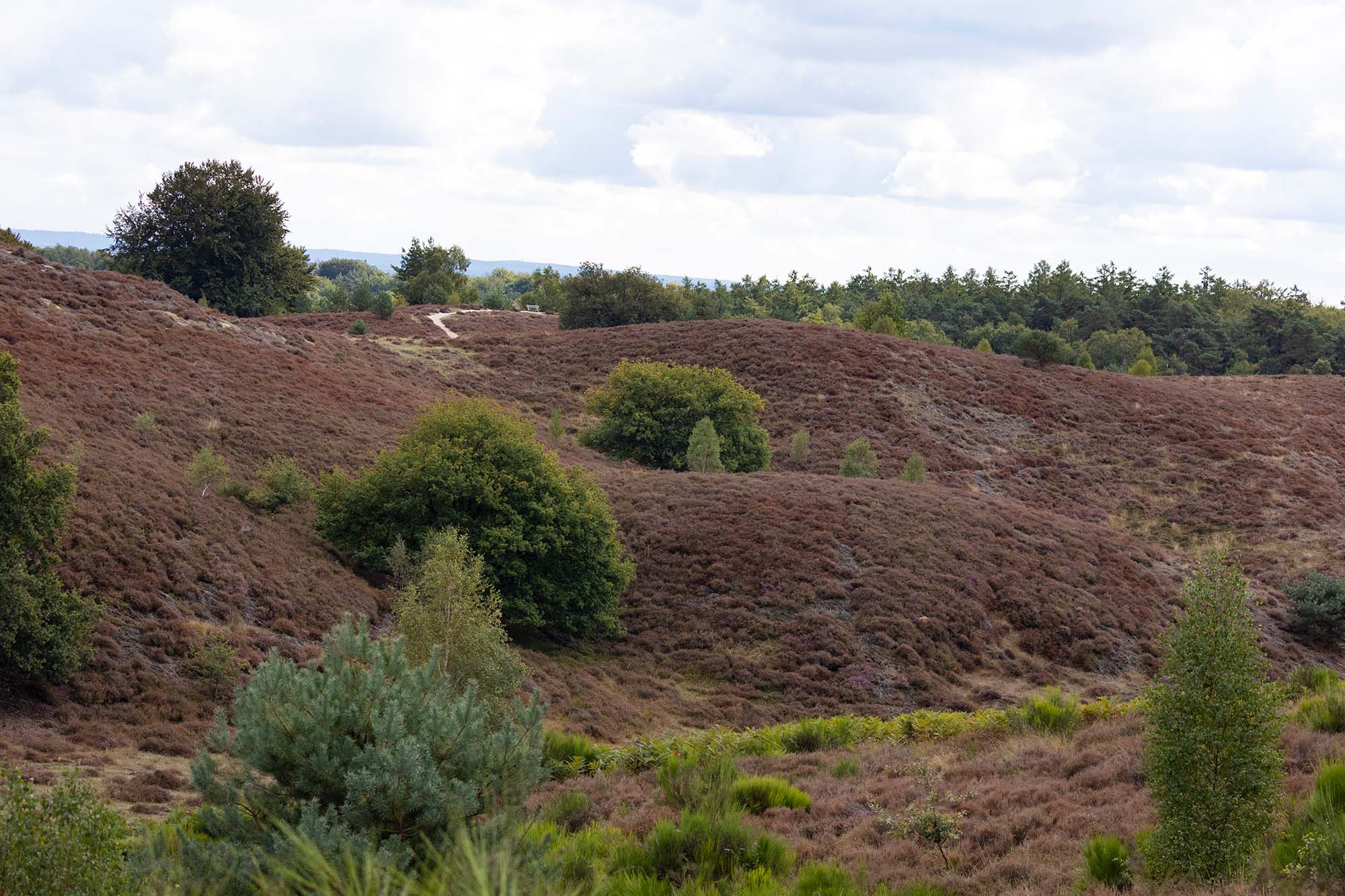 Fietsroute Gelderse kastelen