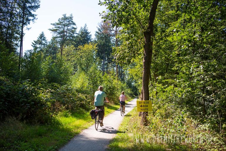 Fietsen in Nationaal Park De Hoge Veluwe