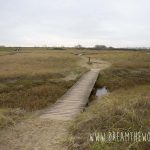 Verdronken Zwarte Polder