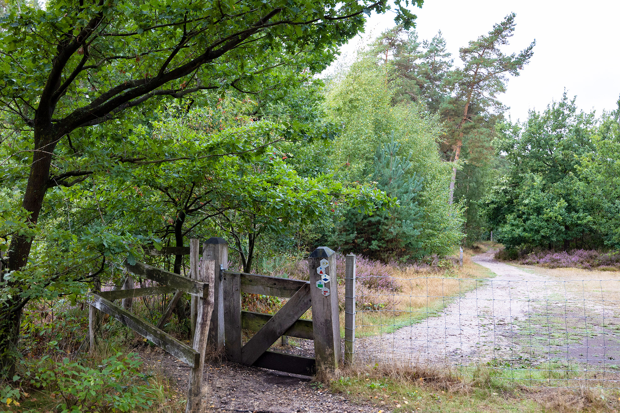 Hoge Kempen Trail etappe 2 van Pietersheim naar Terhills