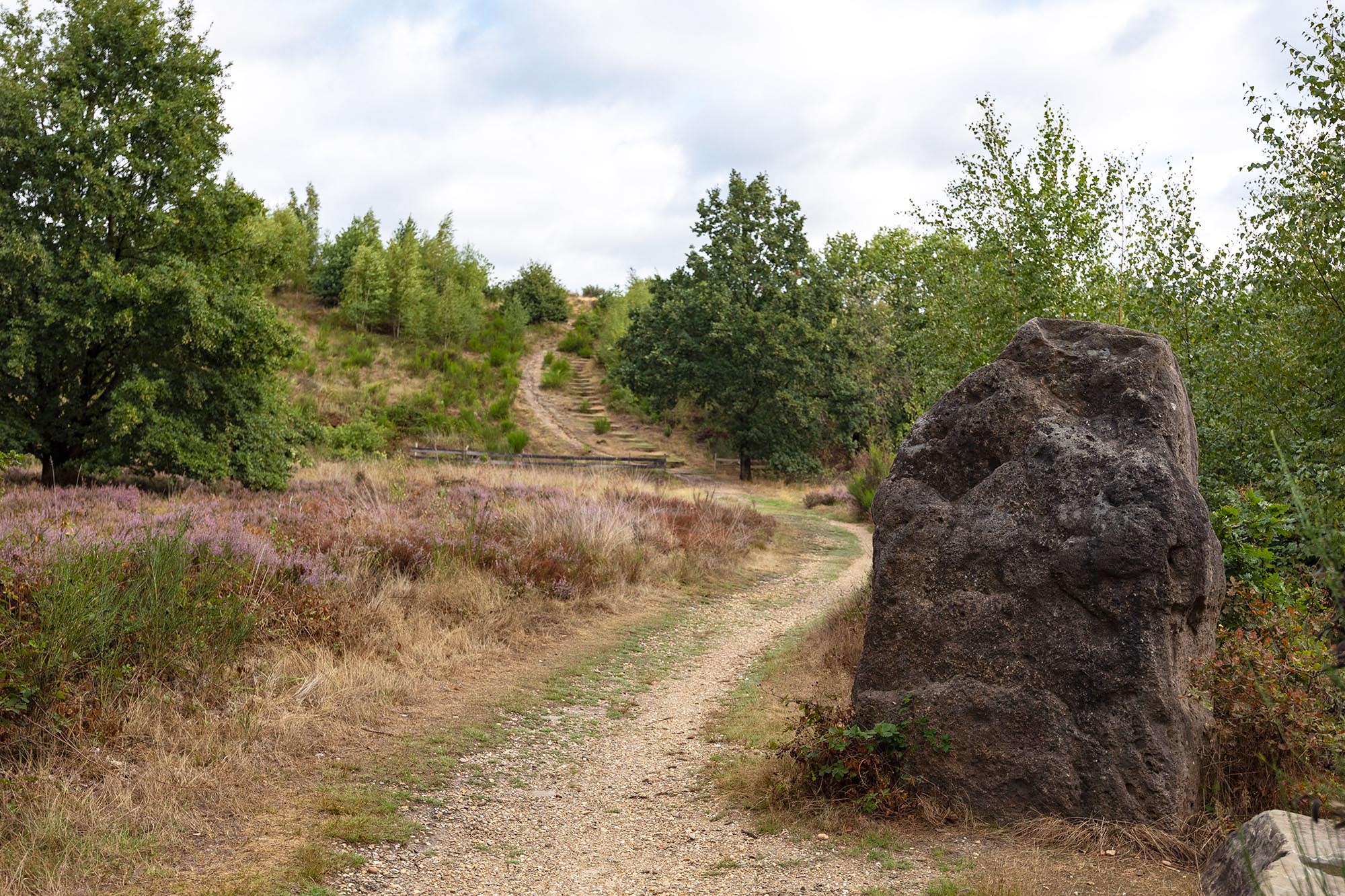 Hoge Kempen Trail etappe 2 van Pietersheim naar Terhills