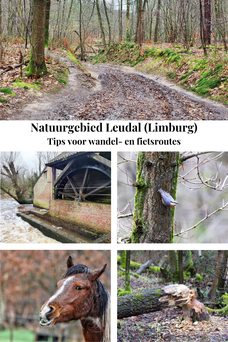 Pinterest Wandelen en fietsen in Leudal