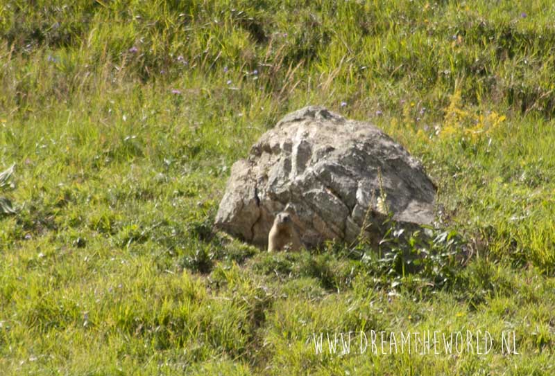 Wandelen in de Franse Alpen | Refuge la Balme