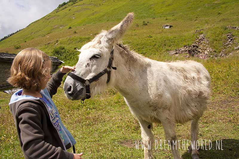 Wandelen in de Franse Alpen | Refuge la Balme