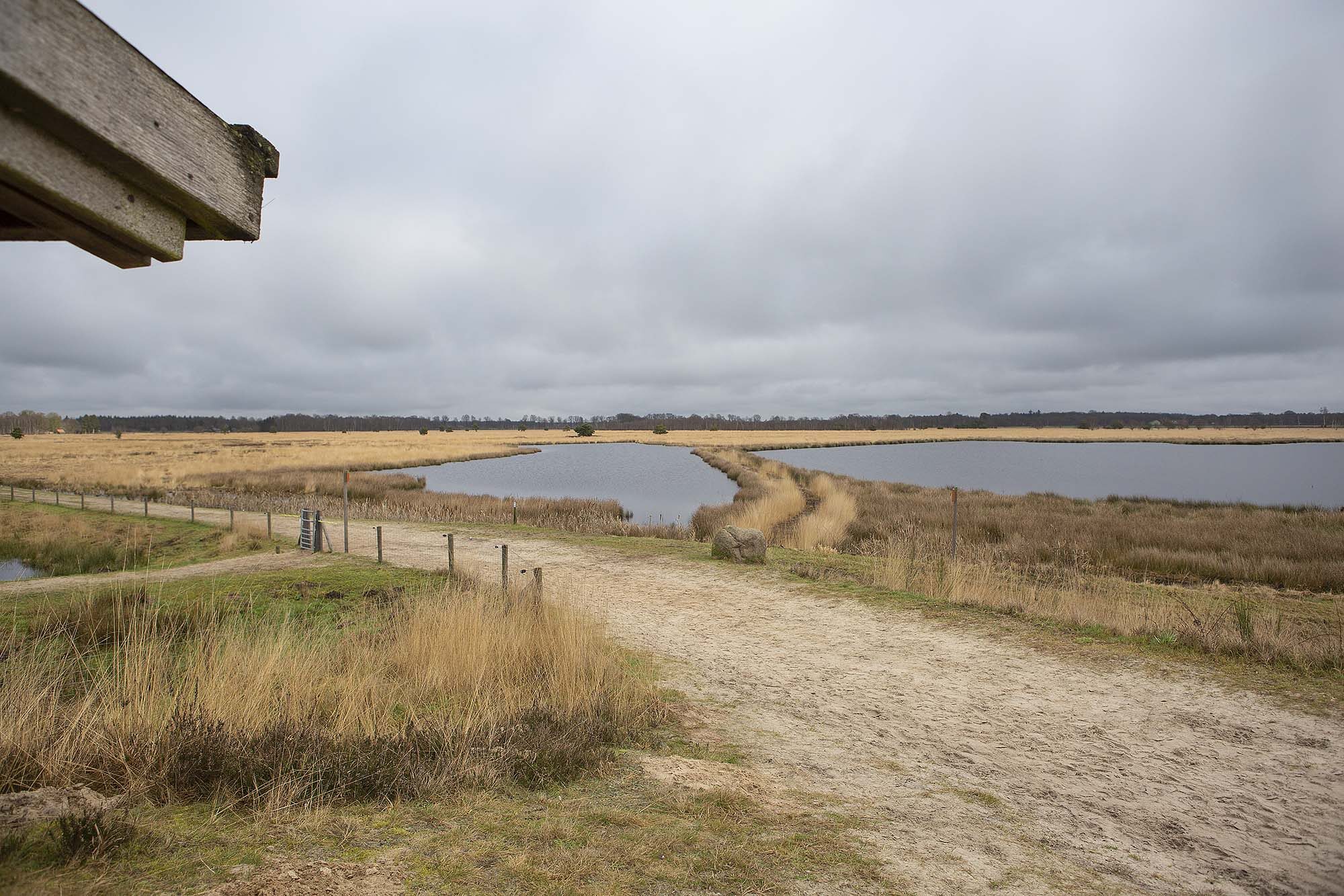 Wandelroutes noorden natuurgebied Engbertsdijksvenen