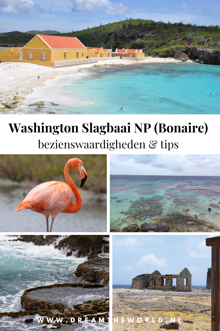 Pinterest Washington Slagbaai National Park Bonaire