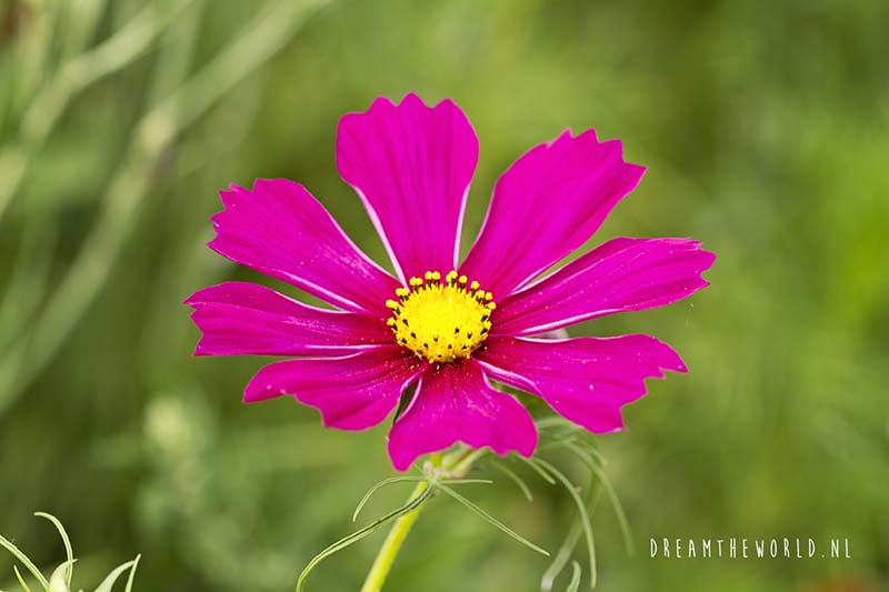 camping Latapie Frankrijk