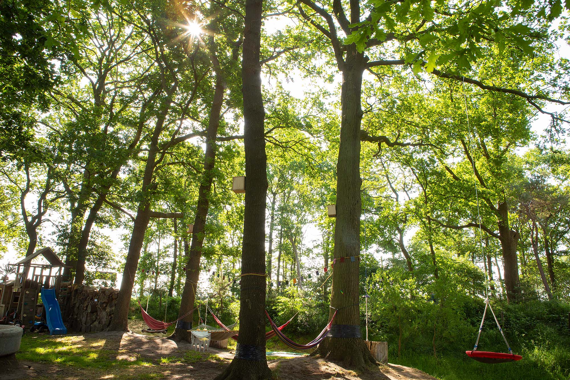 Hangmatten bij 't Buitenland
