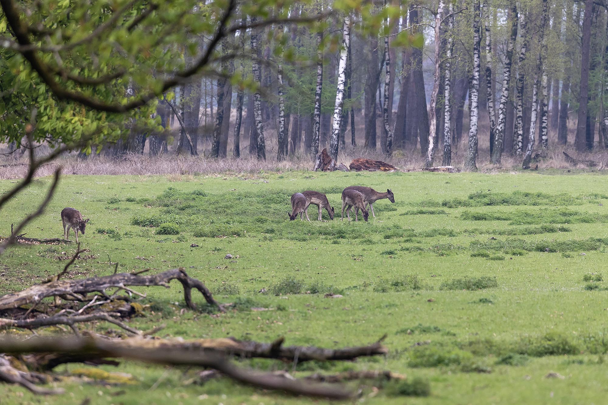 Wandel- en fietsroutes Landal Rabbit Hill