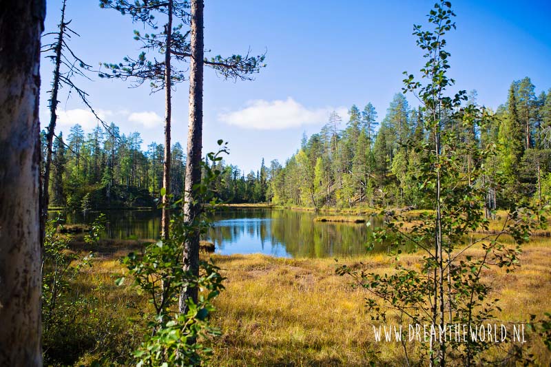 Wandelen in Oulanka National Park | Fins Lapland