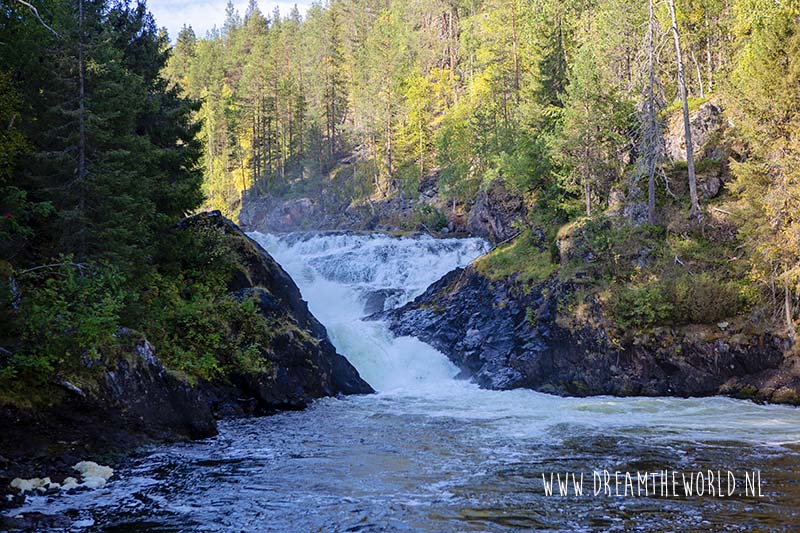 Wandelen in Oulanka National Park | Fins Lapland