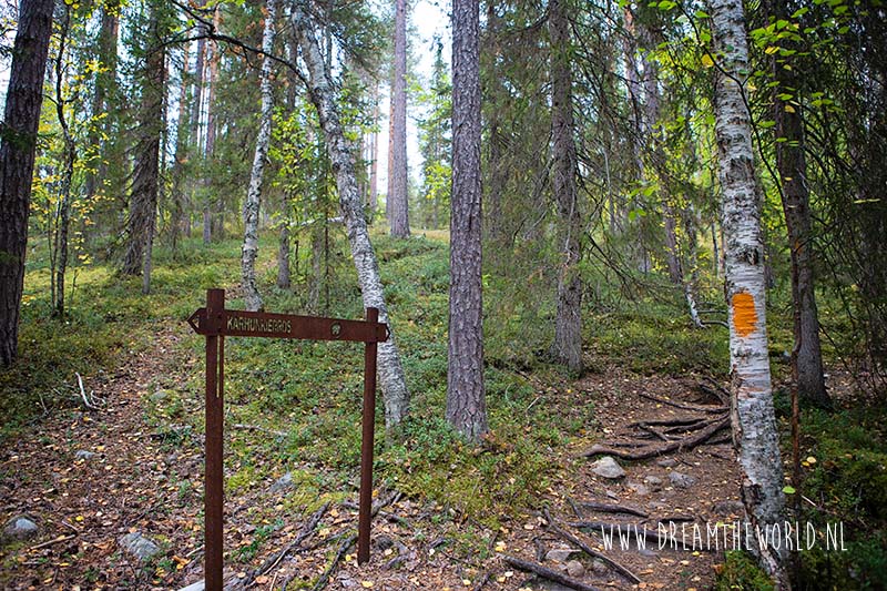 Wandelen in Oulanka National Park | Fins Lapland