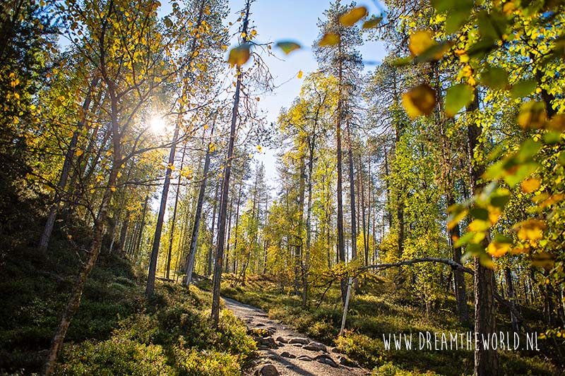 Wandelen in Oulanka National Park | Fins Lapland