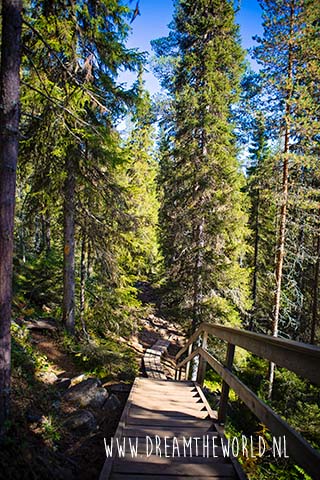 Wandelen in Oulanka National Park | Fins Lapland