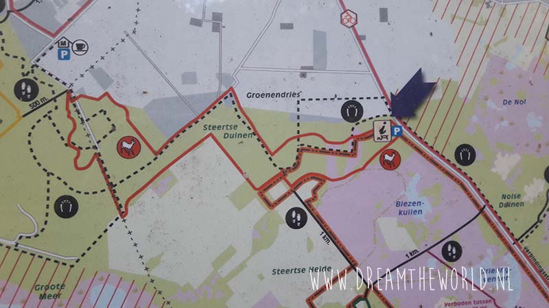 Grenspark Kalmthoutse heide | wandelroute Ree